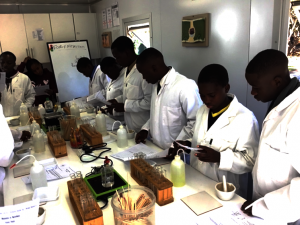 Mob lab for GG report Large