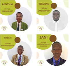 Screenshot 2026 03 16 112544